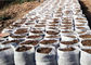White Biodegradable Non Woven Grow Bags Plant Grow Bag